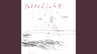 Video thumbnail of "PeterLicht - Safarinachmittag"