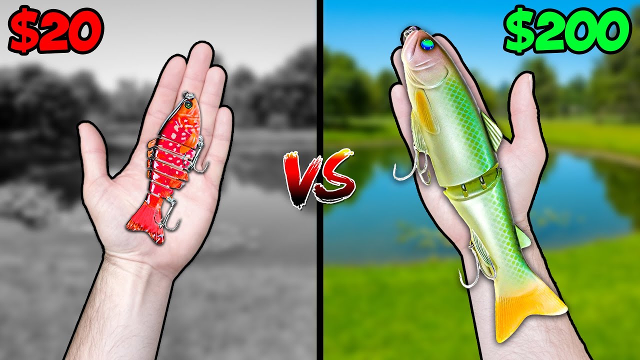 $20 vs $200 Swimbait Fishing Challenge