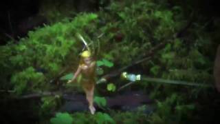 Flitter Fairies From Thinkgeek