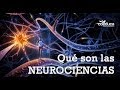 ¿Qué son las Neurociencias?