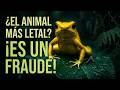 El oscuro secreto químico de la selva colombiana