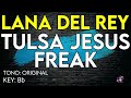 Lana Del Rey Tulsa Jesus Freak Karaoke Instrumental 