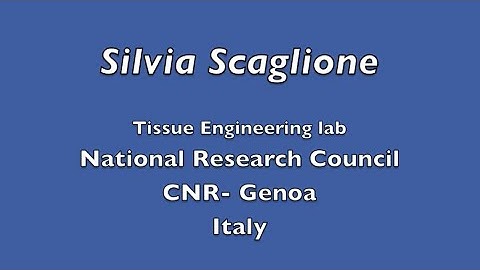 B&B: A novel scaffold geometry for chondral applications: Theoretical model and in vivo validation