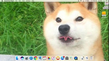 Downloading FlashPrint