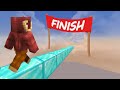 The 10 Hour Race (Hypixel Skyblock)