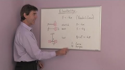 What Is a Force of Elasticity? : Chemistry & Physics