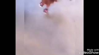 Best Video from Tony Baker Comedy. Net Worth