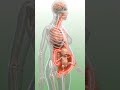 watch what you eat when pregnant #pregnant #animation #baby