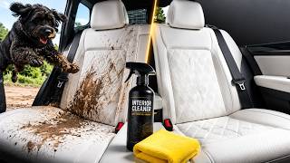 Muddy Dog DESTROYS White Leather Seats... Watch This! 😱 #shorts