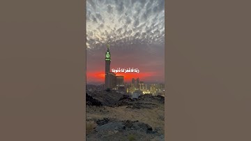 قران كريم 🌱 محمد صديق المنشاوي 🕊️.( ربنا  فاغفر لنا ذنوبنا وكفر عنا سيئاتنا وتوفنا مع الابرار)