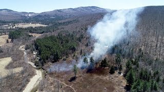 USDA Forest Service Uses Controlled Burn to Manage Wild Berry Patch