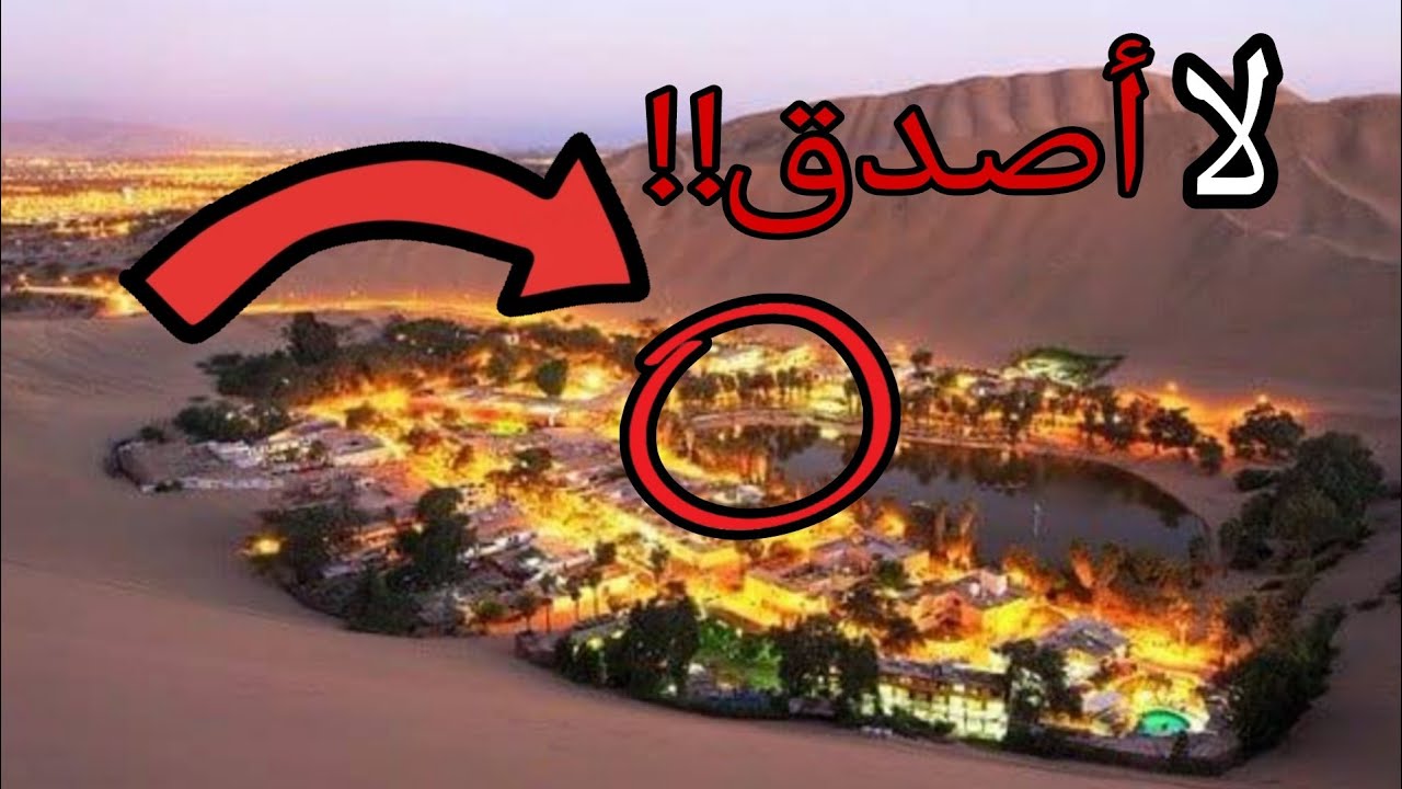 “أرض زيكولا.. المكان اللي تدفع فيه ثمن القهوة بذكائك 🤯😂”