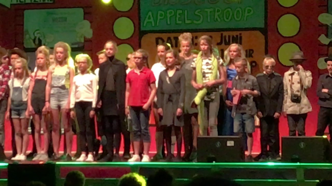 Musical Petrusschool 2017