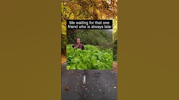 Better late than never I guess