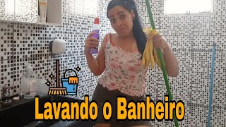Lavando O Banheiro