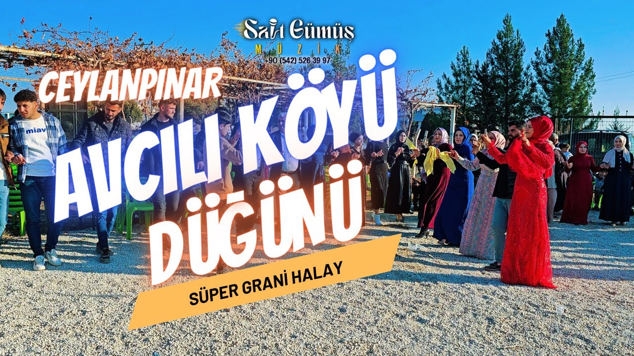 Sait Gümüş | Ceylanpınar Avcılı köyü Çoşkun ailesi düğünü #ceylanpınar #halay #düğün #govend #delilo