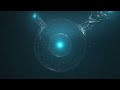 Finex Network, The Blockchain Bunch..🚀🚀