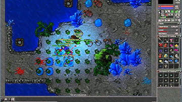 Tibia -  Malvera Server - Killing lvl 122 Mage Red Skull