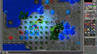 Tibia -  Malvera Server - Killing lvl 122 Mage Red Skull