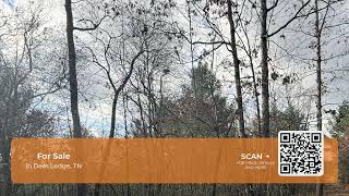 Valerie Drive 10.77 acres, Deer Lodge, TN 37726