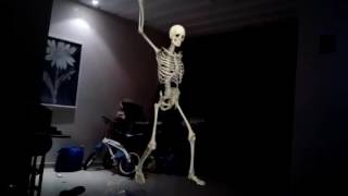 Un Squelette Qui Danse Un Fou