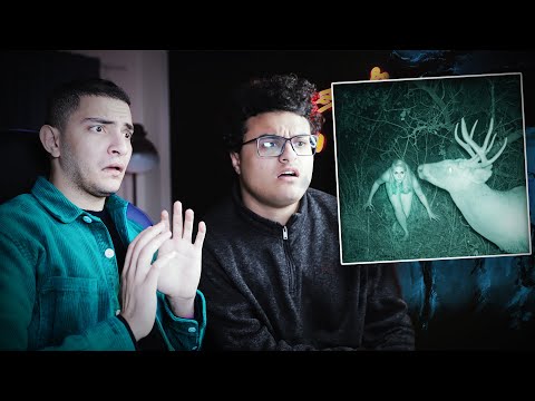 لو بتخاف .. لازم تتفرج !!