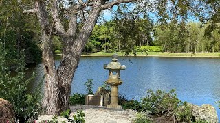 Japanese Hidden Gem in Florida : Walking the Morikami Museum and Japanese Gardens
