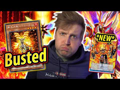 New SALAMANGREAT cards are NOT OK (Salamangreat DECK & REPLAYS)