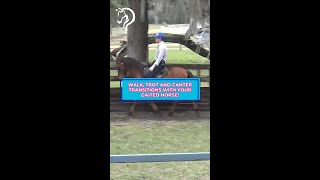 Walk, Trot And Canter Transitions With Your Gaited Horse! Part 14! | The Horse Guru-Michael Gascon