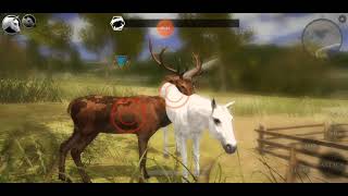 A new horse in the herd!|ultimate horse simulator 2|#3 screenshot 4