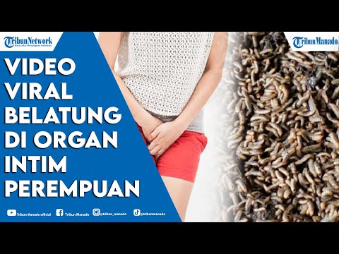 heboh-video-viral-belatung-tersebar-di-tiktok-dan-twitter,-warganet-sampai-nyesel-nonton