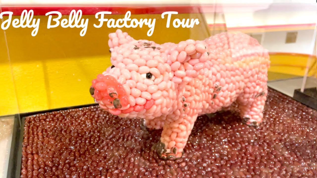 Jelly Belly Factory at Fairfield | Colorful Jelly Beans everywhere