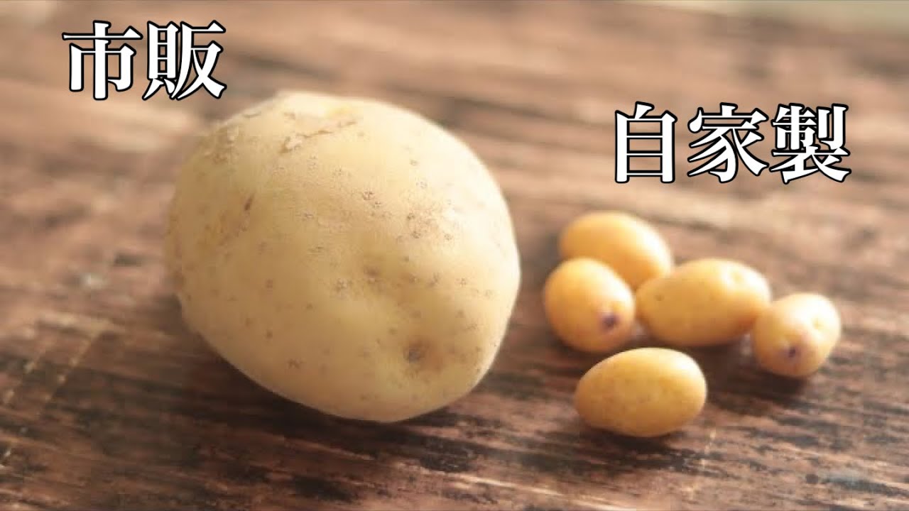 インカのめざめ作ったんで食べ比べてみた - YouTube