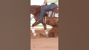 Winning is only the by-product of understanding. Work hard to understand your game.  #reining