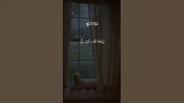 سورۃ الشرح#(ألم نشرح لك صدرك)#تلاوة_خاشعة #قران_كريم
