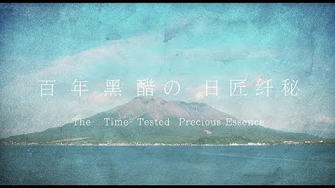 Zenso Healthy Weight Management - Introduction Video