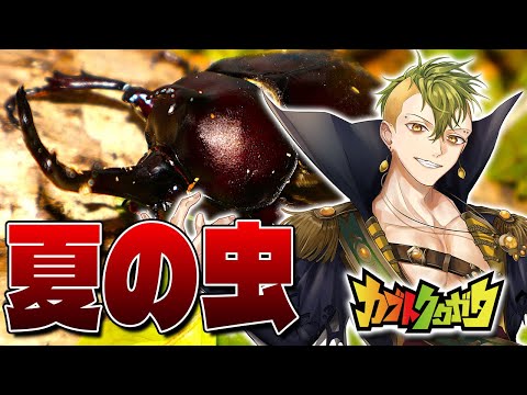 【カブトクワガタ】飛んで火にいる夏の虫【男性Vtuber / 檸檬さわお】