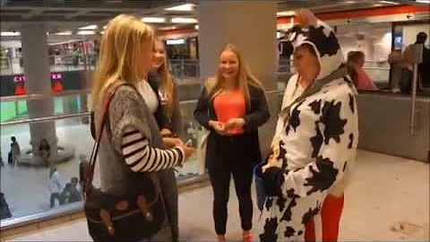 Aamulypsylehmä liikenteessä, osa 3: Lypsäjille suut makiaks!