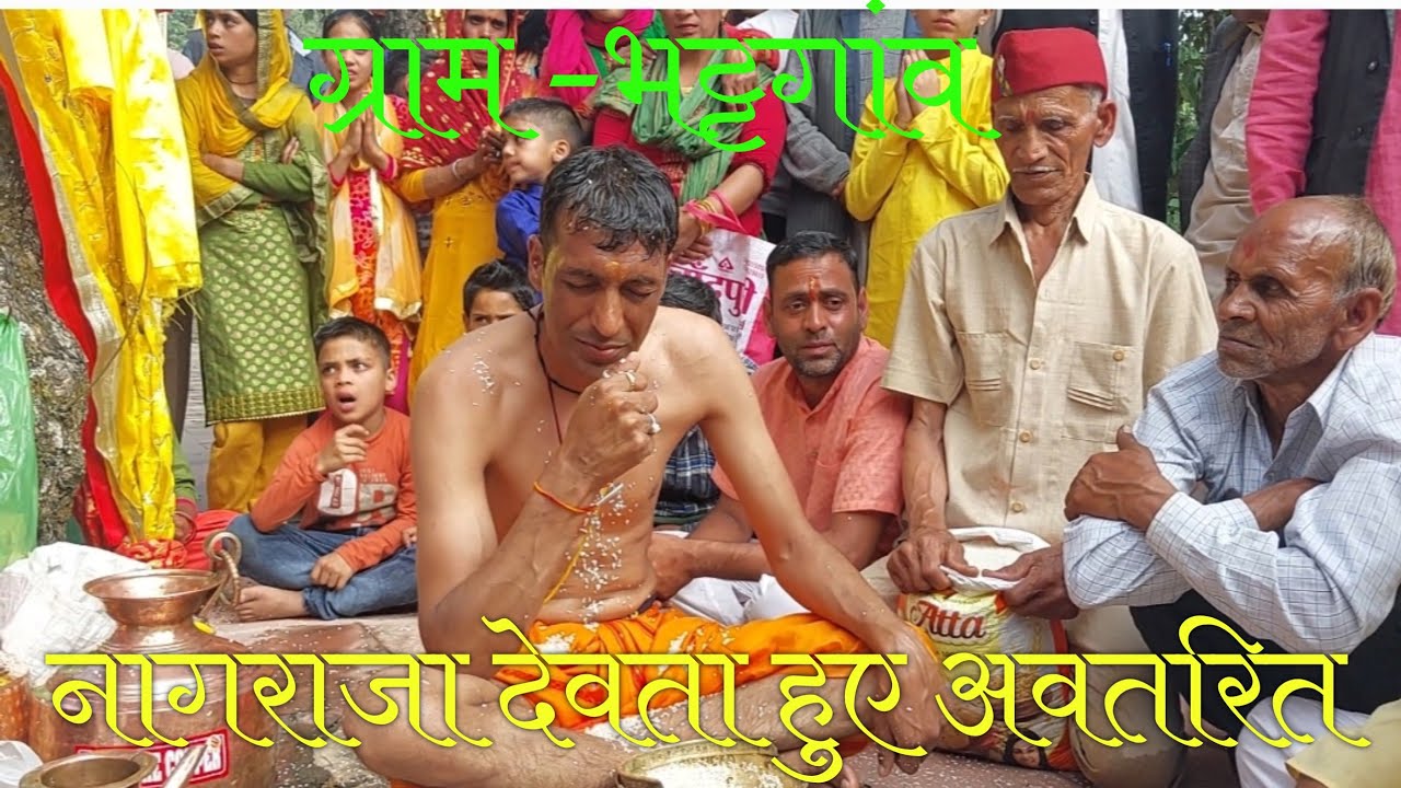 नागराजा देवता हुए अवतरित, बताया भक्तों की समस्याओं का समाधान