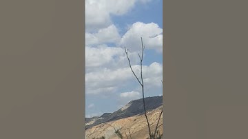 سورة النمل #اكسبلور #mountains #turtle #travel #تيك_توك #flowers #المسجد_الحرام