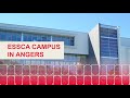 Essca campus in angers