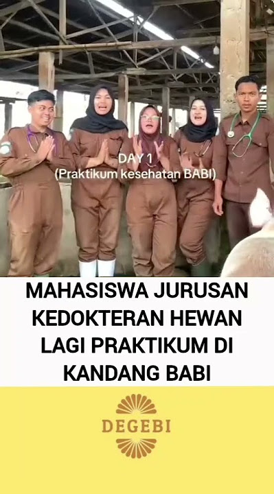 ICA MAU NYERUDUK
