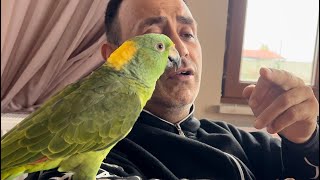 Ameliyattan Sonra Melo Ile Ilk Video Ve Ilk Buluşma