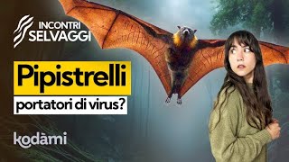 I pipistrelli sono pericolosi per gli umani? Tutti i SEGRETI della loro IMMUNITÀ dai virus by Kodami 16,471 views 2 months ago 19 minutes