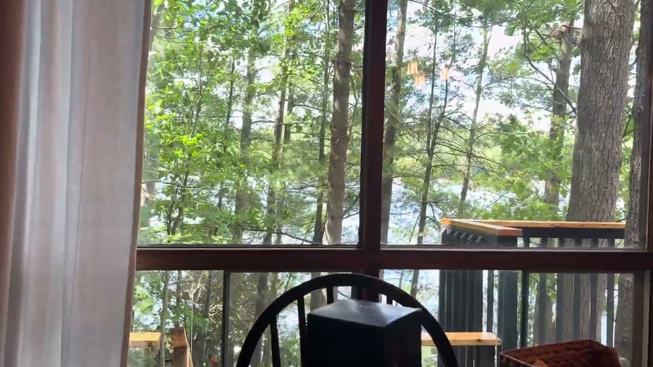 Sugar Island walkabout number 2 2025