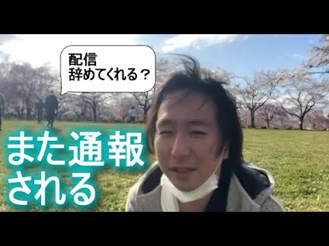 関慎吾　無許可配信でまた祝電される　桜配信・花見配信(ふわっち１祝電される男)　 2022年04月05日15時