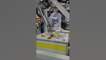 Fast Delta Robot - Automate 2022