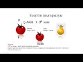 Дигибридті будандастырудың цитологиялық негіздері. Е;септер шығару 10 сныпы 3 тоқсан №7 сабақ