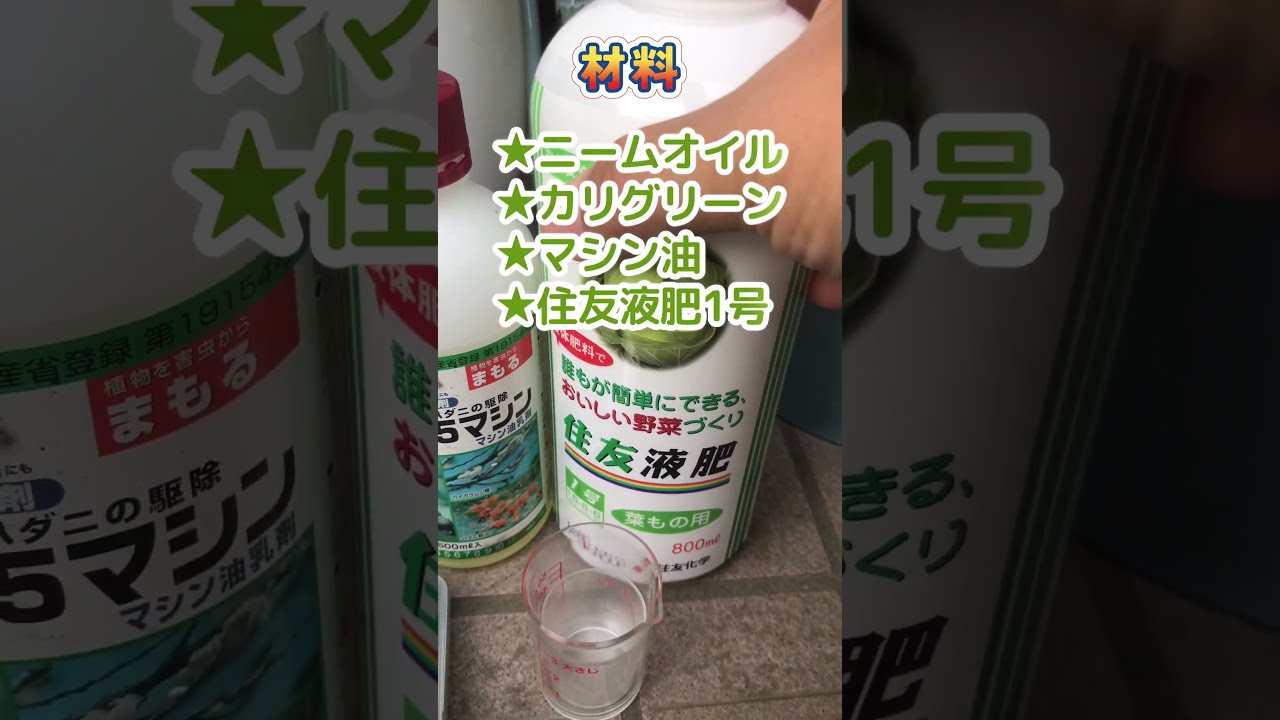 【#園芸 837カメ】 バラの消毒で新たな計画。デービッド丸2号を検証します😭 🐢「やりっぱであとはほったらかしってやつですか?ふざくんな、おぉん!」 【庭の大開拓時代】