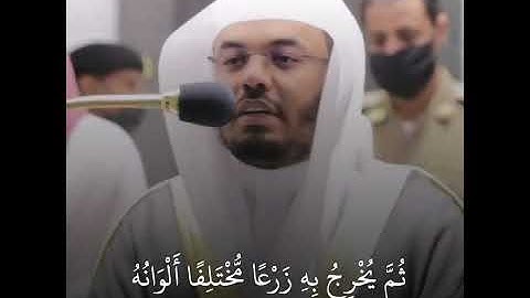 القارئ ياسر الدوسري | ارح سمعك.. تلاوة هادئة تريح القلب والعقل💙🎧